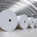 Paper and Pulp Industry